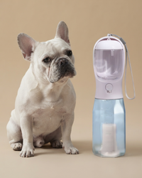 Gourde nomade Petopia avec coupelle intégrée pour chien et chat, idéale pour les promenades et voyages
